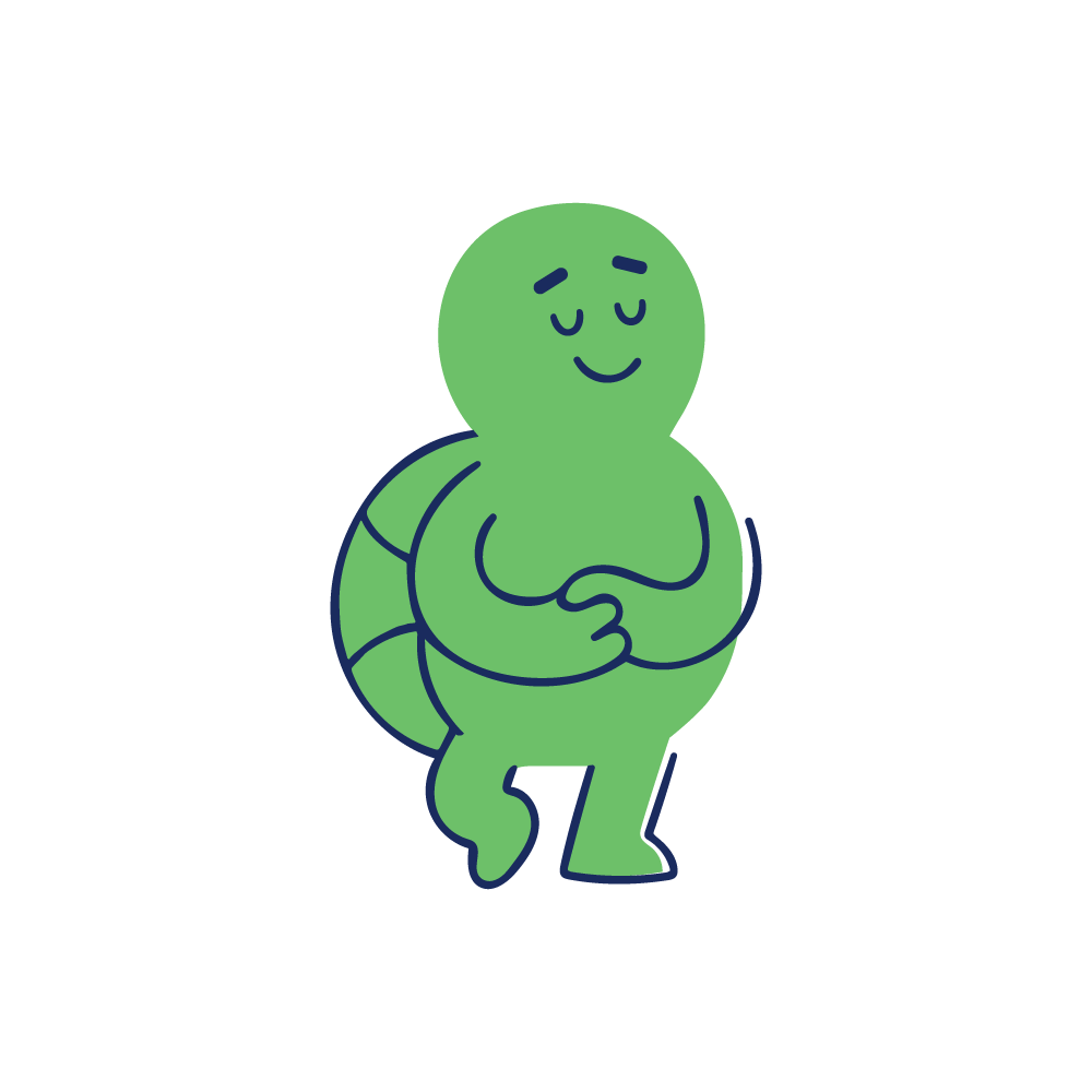 Turtle, the CompliSun Crew member for steady long-term compliance, smiling calmly